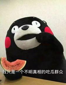 小喵娱乐吃瓜,揭秘娱乐圈最新吃瓜事件，带你领略明星幕后故事