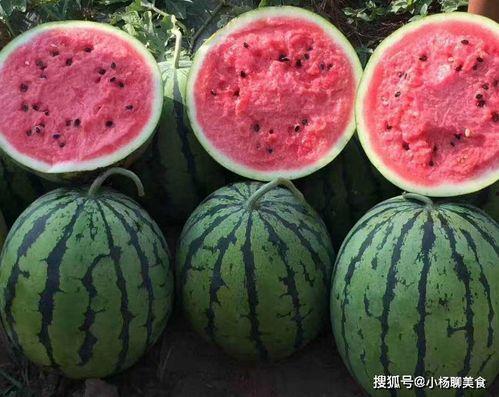 娱乐吃瓜酱不叠被子,揭秘明星不叠被子的秘密生活