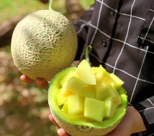 糯米娱乐圈吃瓜