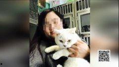 娱乐吃瓜酱小猫坐公交车,萌宠坐公交，趣味横生一幕