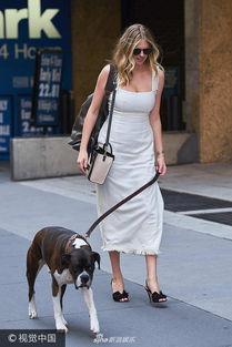 娱乐吃瓜酱遛狗小说下载,小说世界里的欢乐与温情