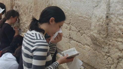 娱乐吃瓜君粉丝