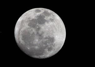 月亮吃瓜娱乐说,揭秘娱乐圈幕后故事