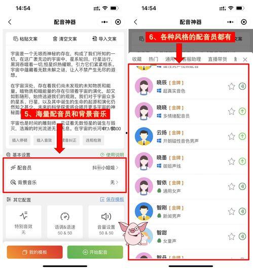 娱乐吃瓜音效软件哪个好,哪个是你的最佳选择？